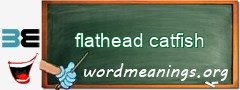 WordMeaning blackboard for flathead catfish